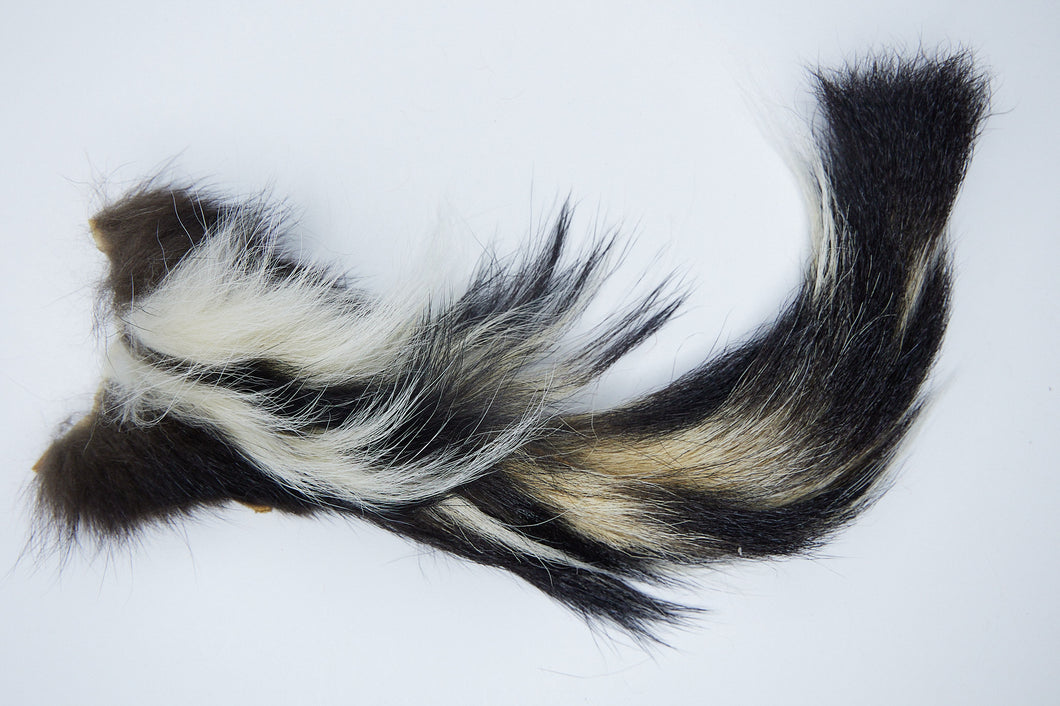 Skunk Tail